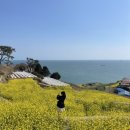 &lt;남해 여행&gt; 다랭이마을 주차 정보/ 카페톨 내돈내산 후기