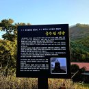 수림공원 이미지