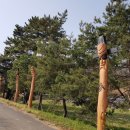 진월 돈탁마을 숲 | 두가지 힐링 눈요기를 한 번에 끝내는 돈탁마을