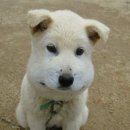 더온 피트니스 이미지