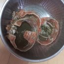 제철 홍게는 역시 영덕! 국산홍게 3kg 든든하게 즐긴 후기🦀 [영덕농수산]