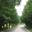 율포승강장 이미지