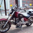 데이스타 이미지