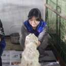 한국동물보호소협회 네이버블로그