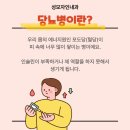 성모자인내과의원 네이버블로그