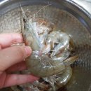 유로팜(주) 이미지