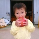 장성농원 이미지