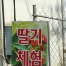 주몽농장 이미지