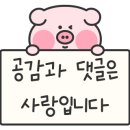 정일2호 이미지