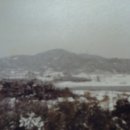 이순례 이미지