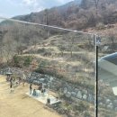 카페지즈