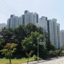 백초당약국 이미지