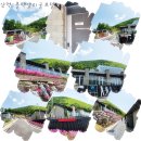 블랙밸리cc 리얼후기. 하이원cc 오투cc 다양하게 라운드하기 좋은 골프
