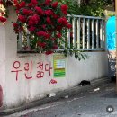 제주 독립서점 | 책방 소리소문 | 더 깊은 세상 속으로 북큐레이션 | 여름책 휴가책 어른 그림책 추천