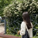 수영로 581번길 이미지