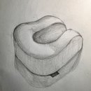 예쁜꽃그리기(보테니컬아트) | 보태니컬 아트) 1일 1드로잉, 은행잎과 열매 나뭇가지 그리기(보태니컬아트 수업 마무리)