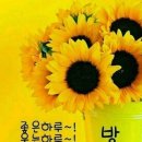 멋진하루 이미지