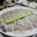 연안전라도고흥횟집 | 연안부두 가성비 맛집 전라도고흥15호 횟집 내돈내산