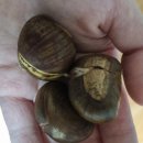 경기도 수원시 팔달구 아주로27번길 이미지