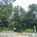 시흥대로40길 이미지