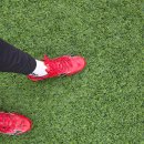 내손체육공원 잔디구장 | 의왕 내손체육공원 축구장 정보(주차, 잔디상태)