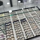 1001안경콘택트(신대방역점) 이미지