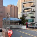 수지 성복역 네일 에이엔뷰티 봄 그라데이션 아트 후기