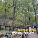 치유, 명상의 숲 | 전남 해남 가볼만한곳 흑석산 자연휴양림 치유의숲