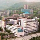 고려대학교 메디팜헬스뉴스