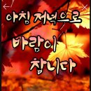 인상(人相/조미하)-솔잎의 효능 이미지