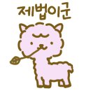 술도락 네이버블로그