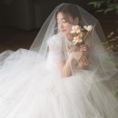 리저브 이미지