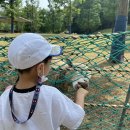 안나목장 이미지