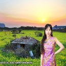 미스트롯7080 Daum카페