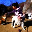 지리산구름정원 이미지