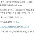 온늘 이미지