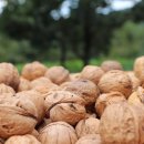 궁촌농장 이미지