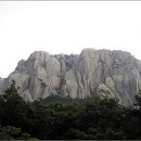 스타펠리스앞 이미지