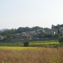 제일초등학교(병설) | 용인전원주택-제일초등학교 앞 전원주택단지들~~