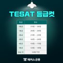 50대, 40시간 공부해서 TESAT 1급 후기