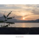 두물머리공원 이미지