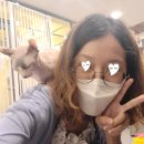 묘한스핑크스까페 안산고잔점 | 안산 중앙역 놀거리 묘한 스핑크스 카페 고양이카페 방문리뷰