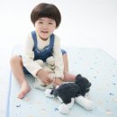 (주)정진지오개발