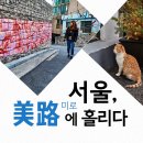 미로(美路) 이미지