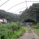 마전리진료소 이미지