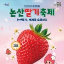 대세농장 | 제철 딸기 체험은 여기 🍓 논산 다나딸기체험농장 후기
