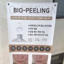 사파동123 이미지