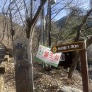 깊은시간 | 청도 운문사 사리암 기도 후기-흐름을 바꾸는 깊은 기도의 시간