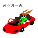 시크릿쥬쥬&또봇 - 4561 | 시크릿쥬쥬&또봇
