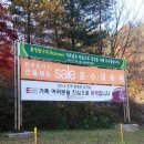 주식회사 홍문 네이버블로그
